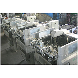 Apples mechanical peeler corer cutter ABL PDS100 - FCR